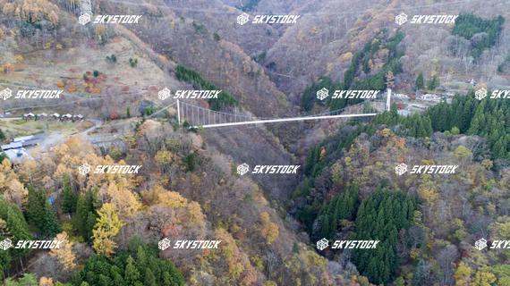 上野スカイブリッジ8