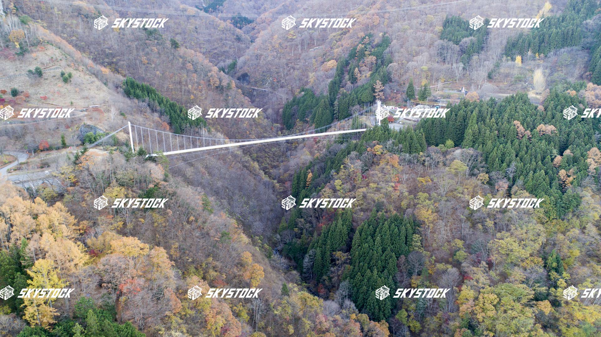 上野スカイブリッジ9