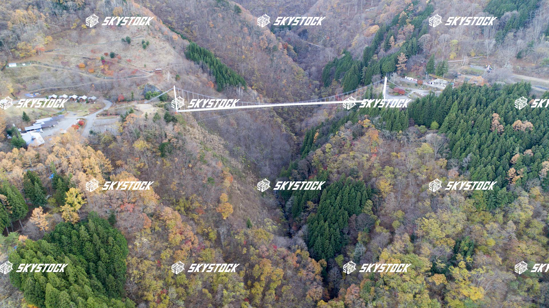 上野スカイブリッジ10