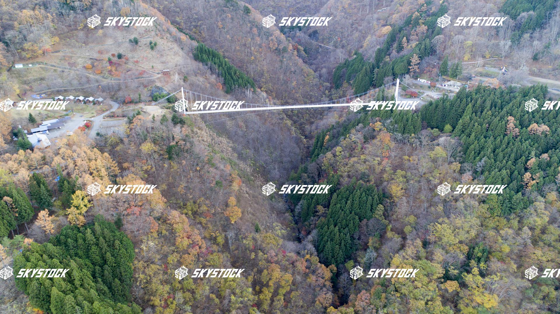 上野スカイブリッジ11