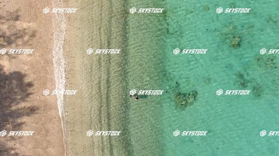 大浜海浜公園昼１３