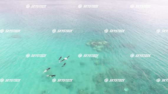 大浜海浜公園昼１４