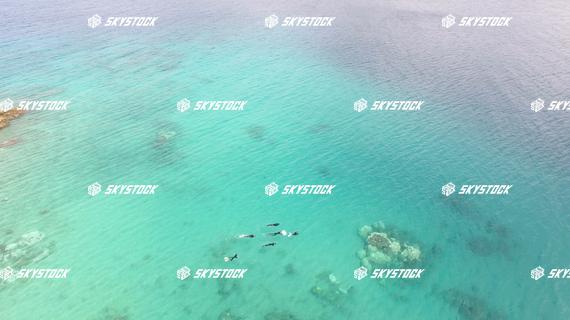 大浜海浜公園昼１５