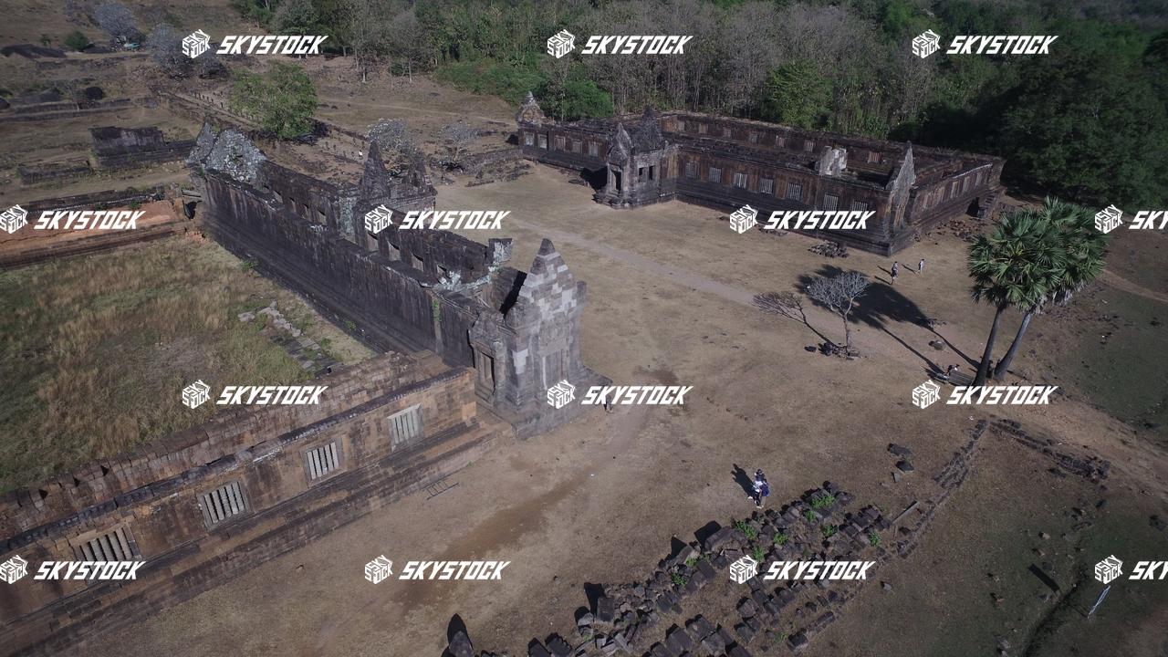 ワットプー１９