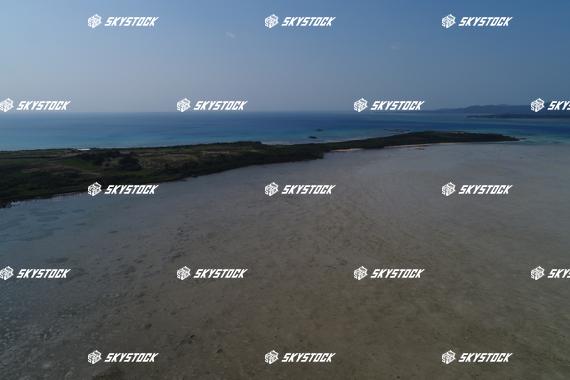 小浜島マングローブ13