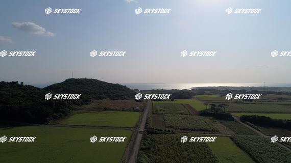 小浜島ロード1