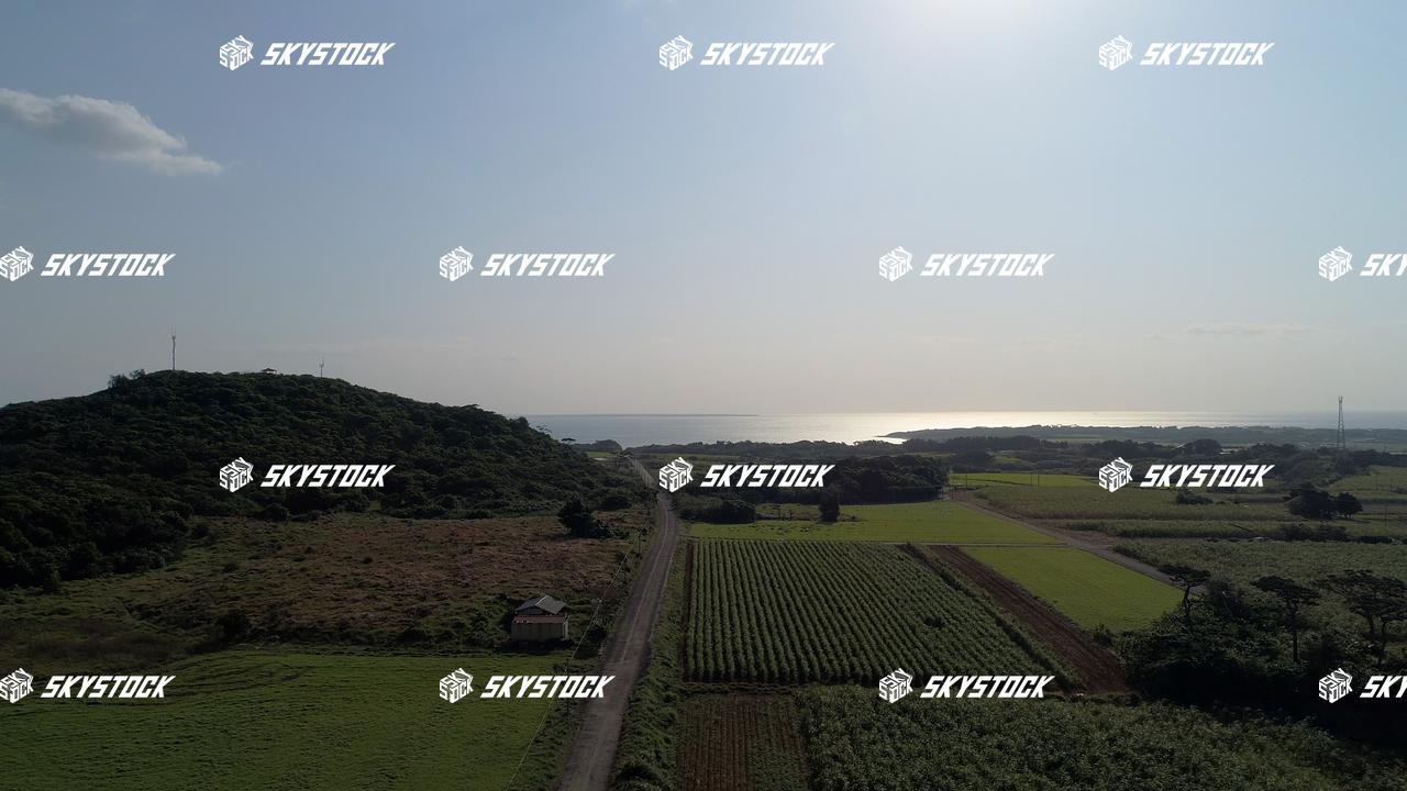 小浜島ロード5