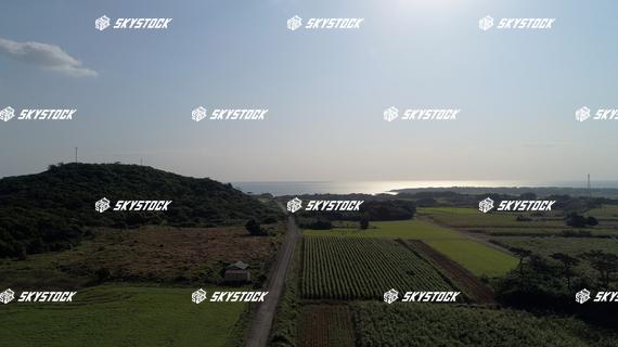 小浜島ロード5