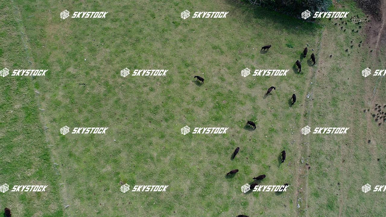 黒島湾道百選14