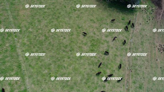 黒島湾道百選14