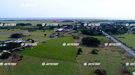 黒島湾道百選15