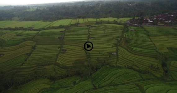 ライステラス世界遺産8-1