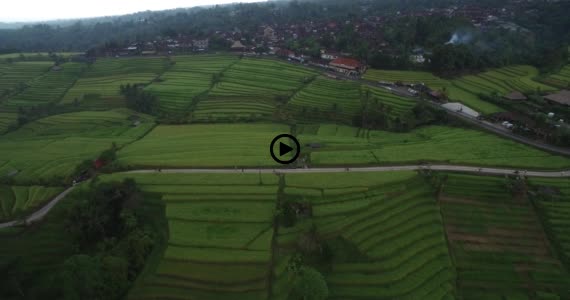 ライステラス世界遺産9-1