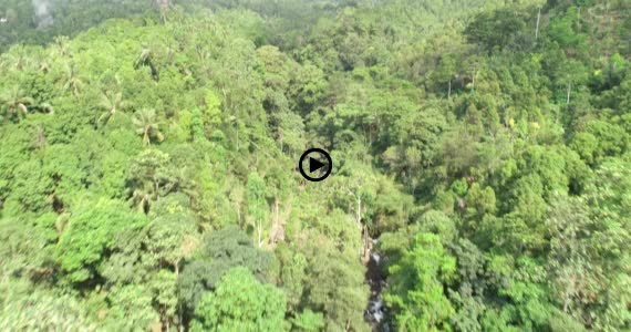 ギッギッの滝9-1