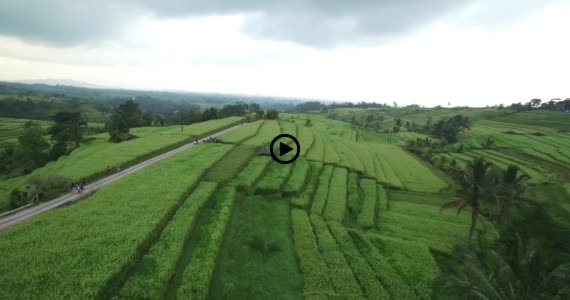 ライステラス世界遺産7-1