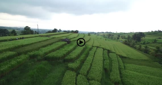 ライステラス世界遺産6-1