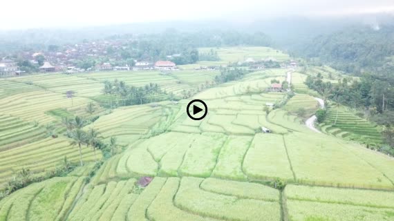 ライステラスMavic3-1