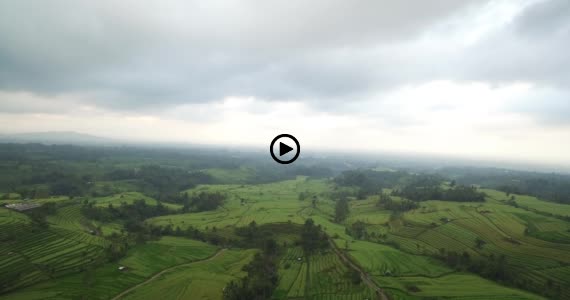 ライステラス世界遺産12-1