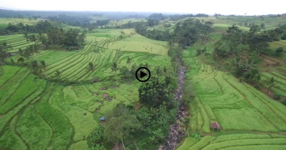 ライステラス世界遺産14-1