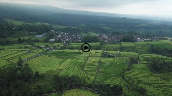 ライステラスMavic5-1