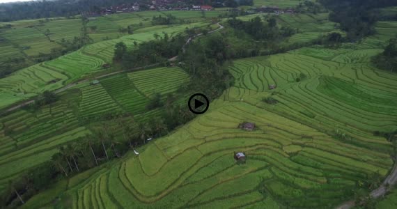 ライステラス世界遺産5-1