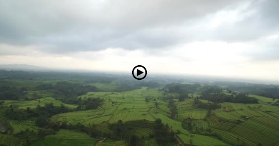 ライステラス世界遺産11-1