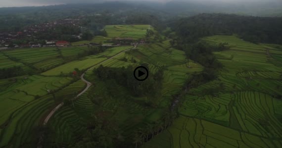 ライステラス世界遺産10-1