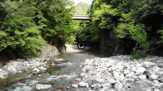 沢登り 直進