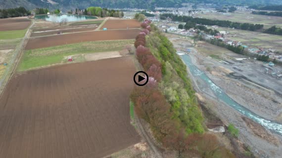 河岸段丘　　津南