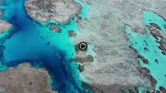 石垣島の秘境「浦崎」、サンゴ礁の青い海、俯瞰・斜め後進・下降