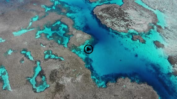 石垣島の秘境「浦崎」、サンゴ礁の青い海、俯瞰・横進