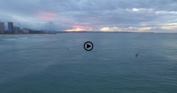 ゴールドコースト1-5