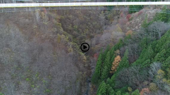 上野スカイブリッジ8-1