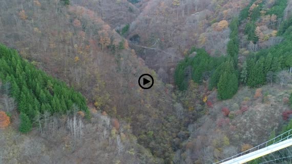 上野スカイブリッジ1-2