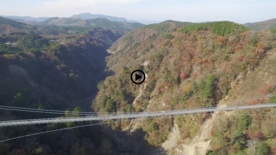 九重夢大吊橋9-1