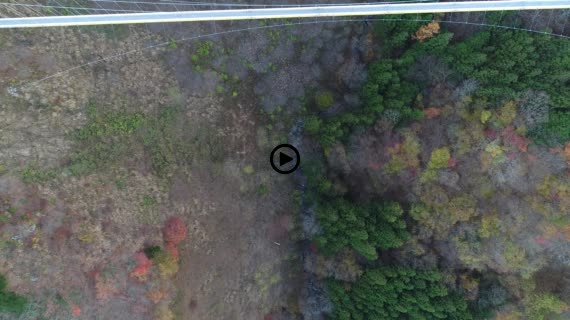 上野スカイブリッジ10-1