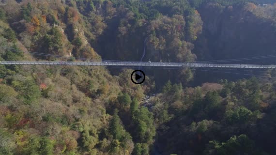 九重夢大吊橋16-2