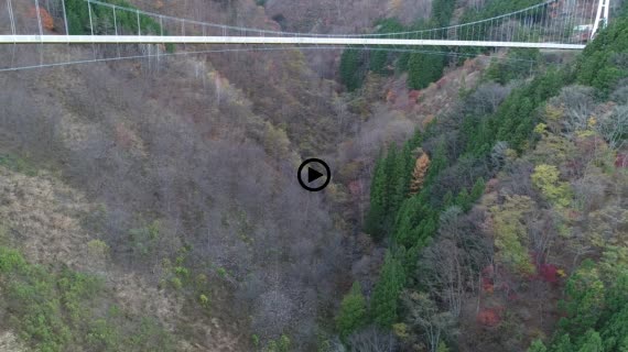 上野スカイブリッジ7-2