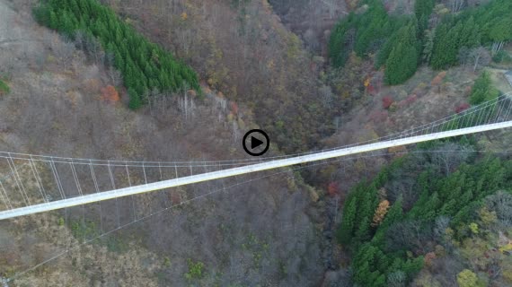 上野スカイブリッジ5-1