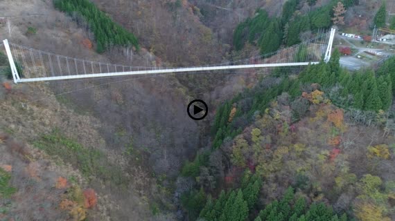 上野スカイブリッジ8-2