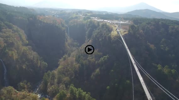 九重夢大吊橋8-1