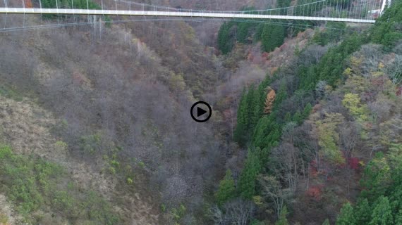 上野スカイブリッジ7-1