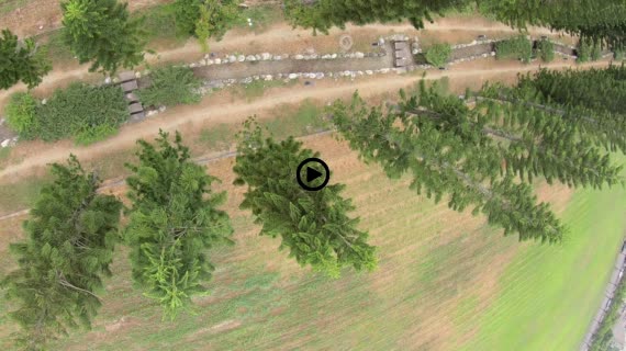 高雄FPV1-2