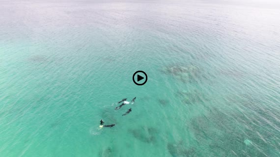 大浜海浜公園動画１