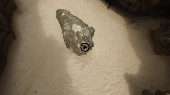 ワルミ岩動画１