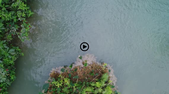 クワンシーの滝11-1