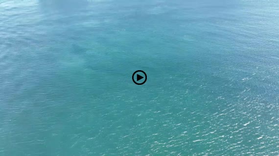 海　友ヶ島　パン