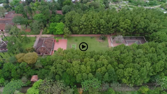 ティエンムー寺6-2