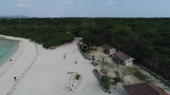 竹富コンドイビーチ8-3