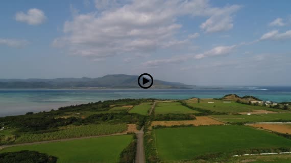 小浜島ロード2-1